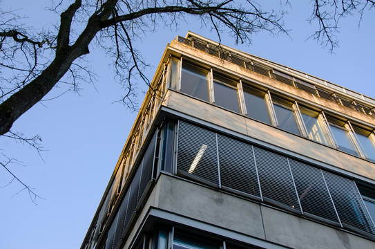 Ecke des Geschossbau 2 mit Bäumen.