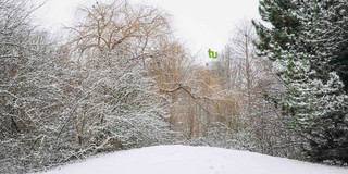 Mit Schnee bedeckte Wiese und Bäume, im Hintergrund das verschneite Mathematikgebäude.