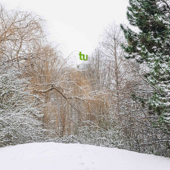 Mit Schnee bedeckte Wiese und Bäume, im Hintergrund das verschneite Mathematikgebäude.